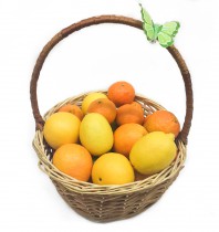 Citrus basket